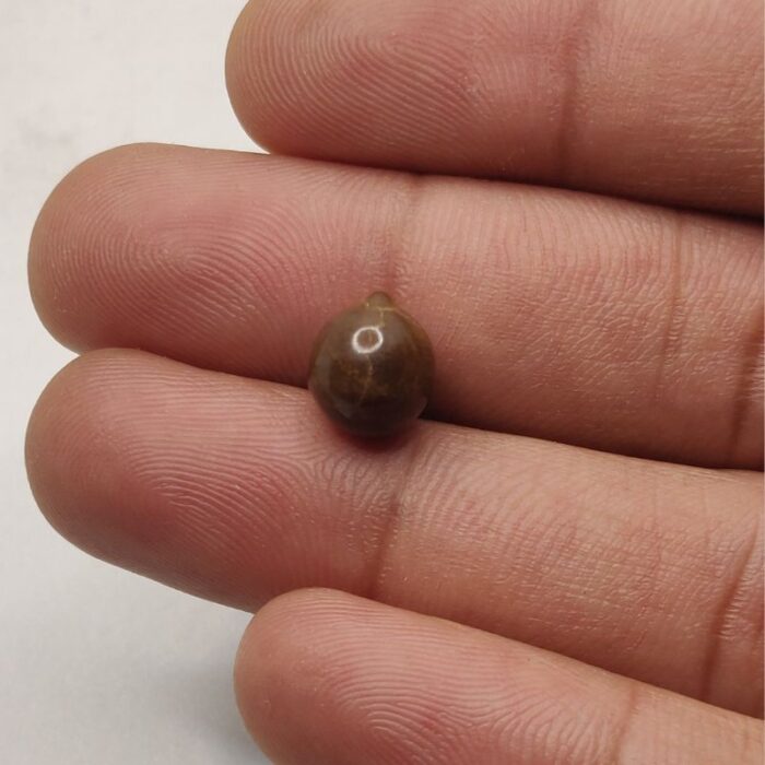 Natural Pinna Pearl 4.27 ct (4.65 ratti) - Image 2
