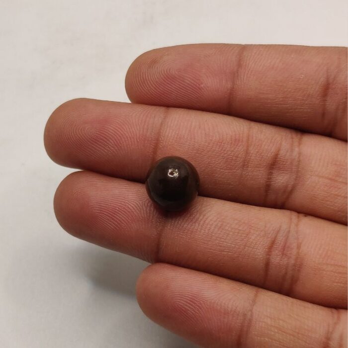 Natural Pinna Pearl 7.11 ct (7.75 ratti) - Image 3