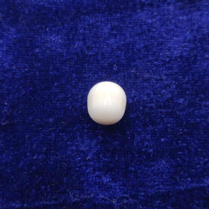 Natural Clam Pearl  7.16 ct (7.80 Ratti)