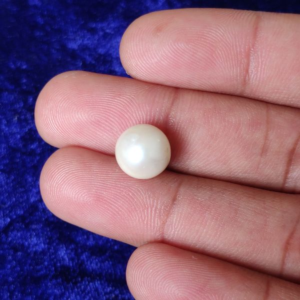 South Sea Pearl 7.70 ct (8.40 ratti) - Image 2