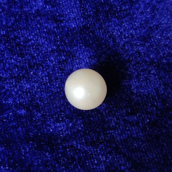 South Sea Pearl 7.70 ct (8.40 ratti)