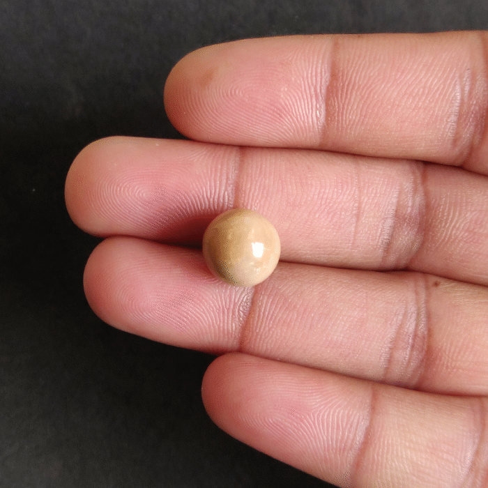 Natural Cassis Pearl   11.80 ct ( 12.86 ratti) - Image 2