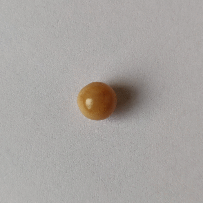 Natural Cassis Pearl  4.30 ct (4.70 ratti)