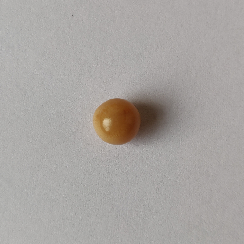 Natural Cassis Pearl 4.30 ct (4.70 ratti)