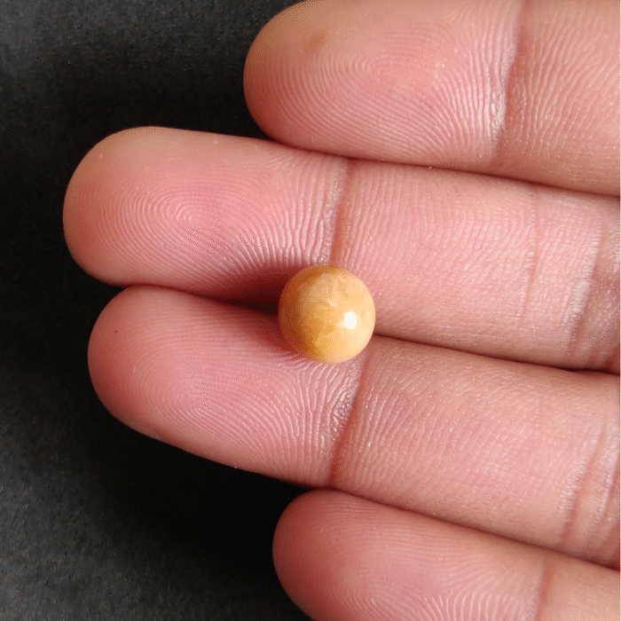 Natural Cassis Pearl   5.70 ct (6.21 ratti) - Image 2